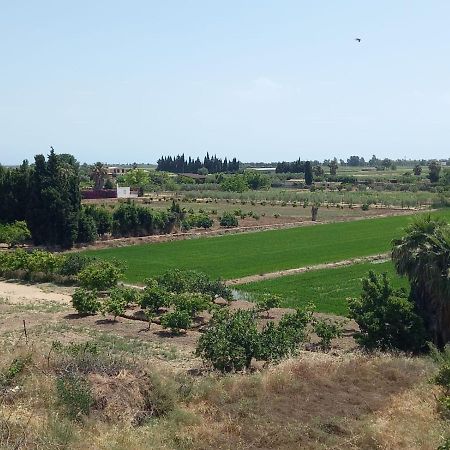 L'Hortet Del Iaio Camarles المظهر الخارجي الصورة